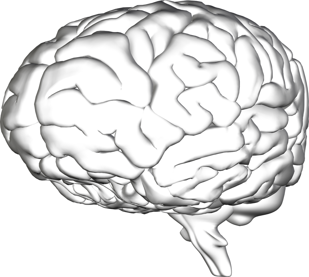 Transparent 3D Human Brain Concept - Download Free Stock Images Pikwizard.com