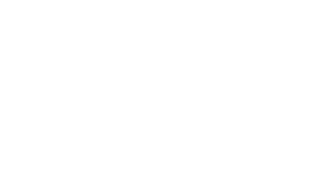 Transparent Silhouette of Woman Leaning on Exercise Ball - Download Free Stock Images Pikwizard.com