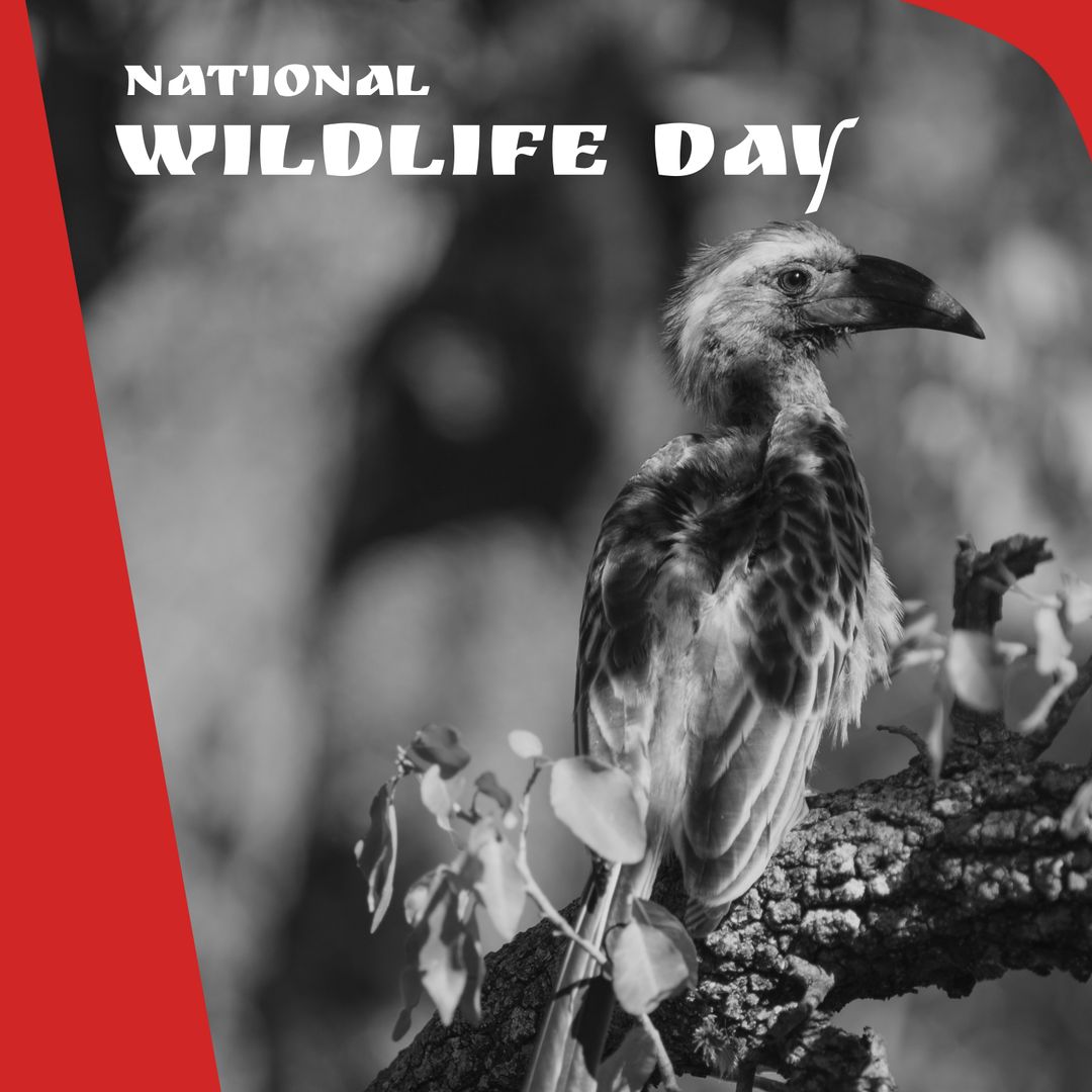 National Wildlife Day Bird in Branch Art Composition