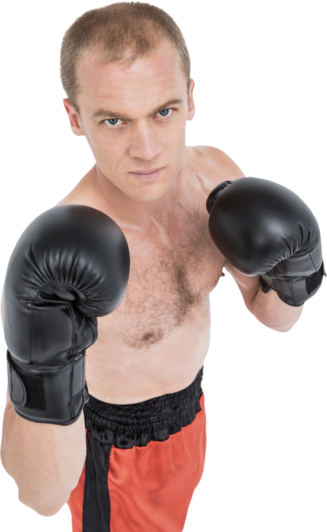 Transparent Portrait of Boxer in Fighting Stance Wearing Gloves - Download Free Stock Images Pikwizard.com