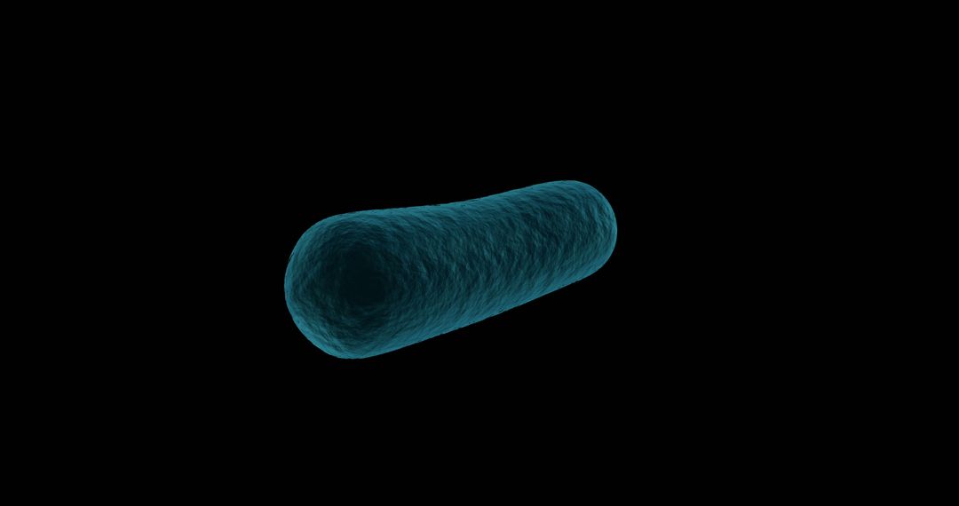 Close-Up of Single Rod-Shaped Bacteria on Black Background - Free Images, Stock Photos and Pictures on Pikwizard.com