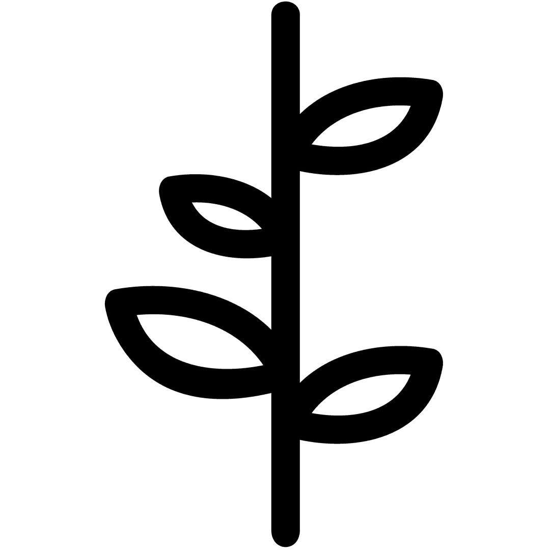 Digital Stem with Leaves Illustration on Transparent Background