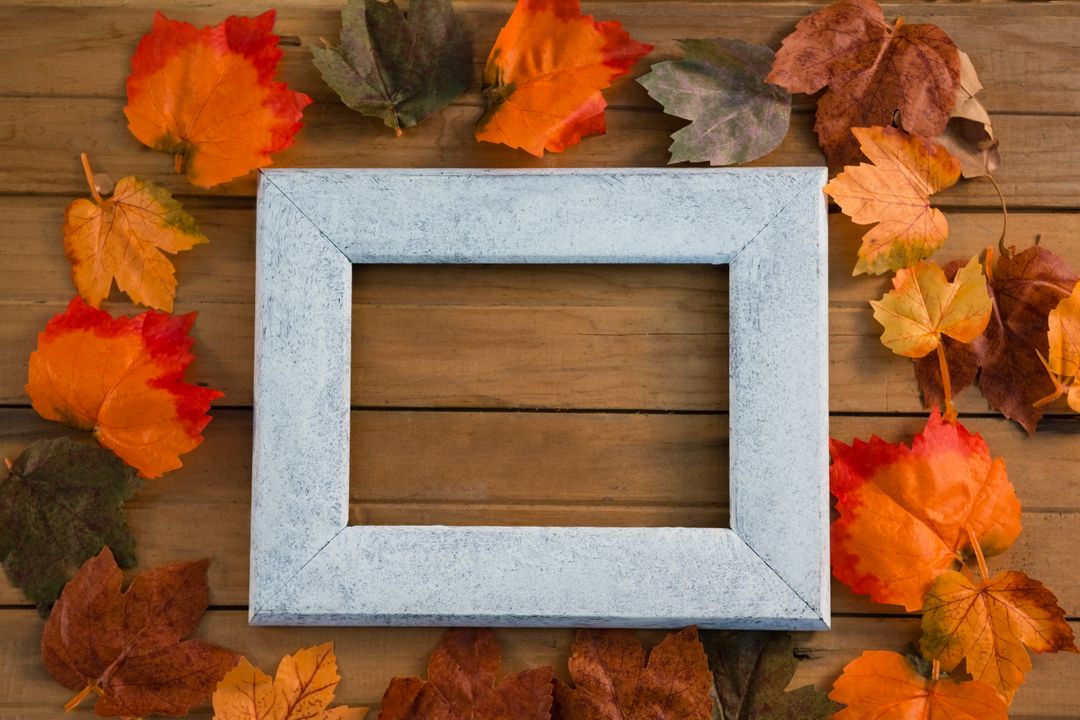 Overhead view of frame amidst autumn leaves - Free Images, Stock Photos and Pictures on Pikwizard.com