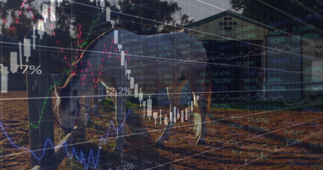 Candlestick Chart Overlay on Pastoral Scene with Donkey in Paddock