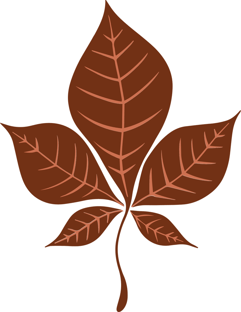 Brown Botanical Compound Leaf on Transparent Background Clipart