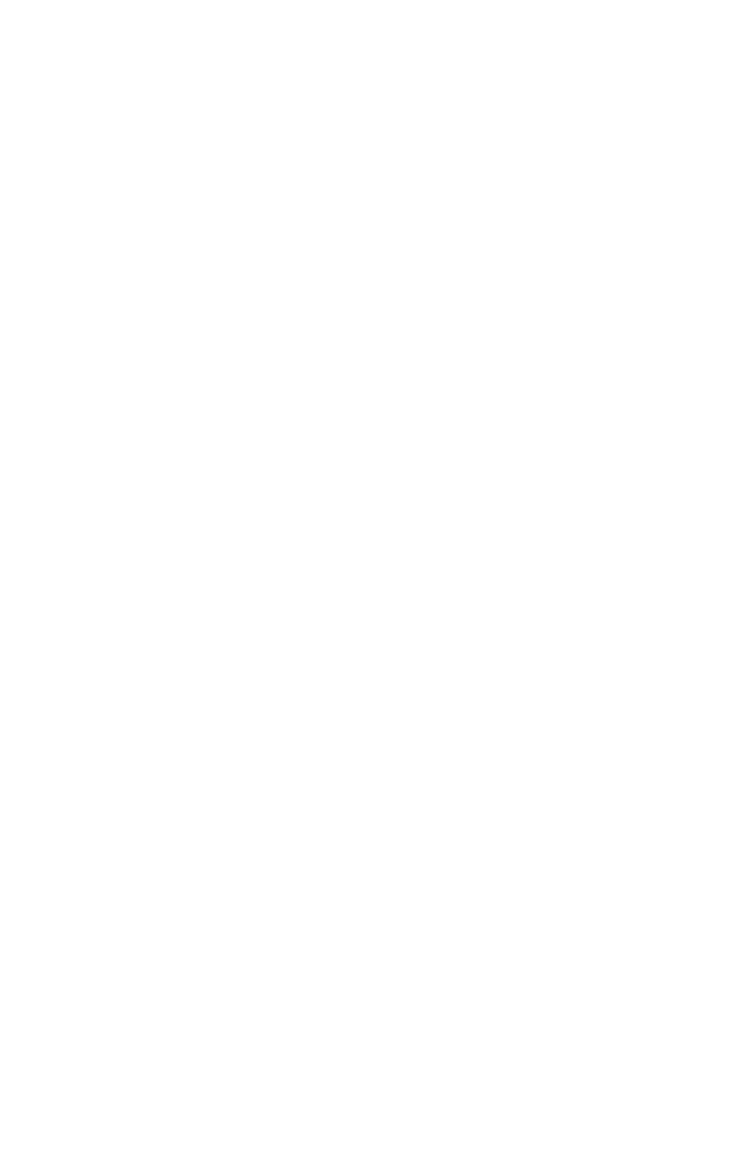 Transparent Vector Silhouette of Male Martial Artist in Action Pose - Download Free Stock Images Pikwizard.com