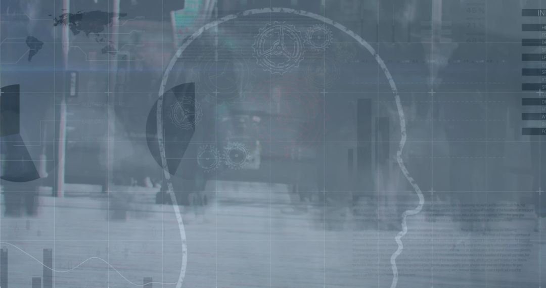 Human Head Overlay with Statistical Data Innovations Concept