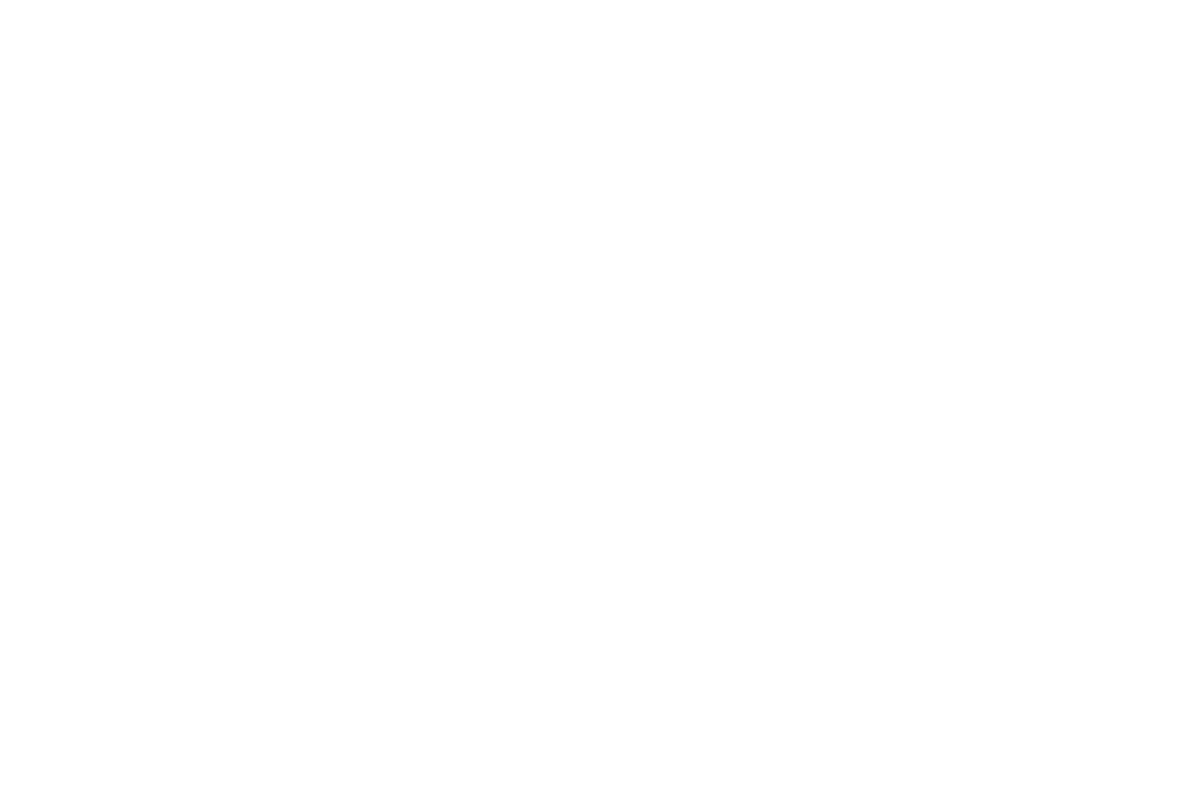 Transparent Silhouette of Female Athlete Drinking Water - Download Free Stock Images Pikwizard.com