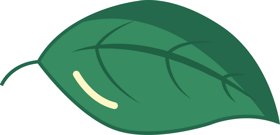 Stylized Green Leaf with Veins on Transparent Background