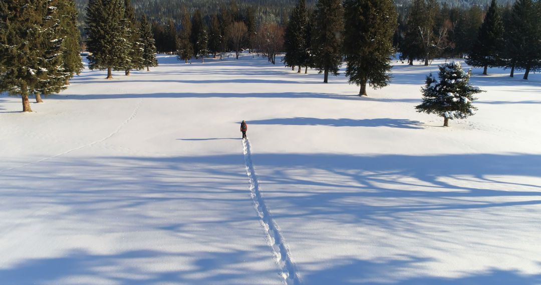 Person Hiking Through Snow-Covered Forest on Winter Day - Free Images, Stock Photos and Pictures on Pikwizard.com