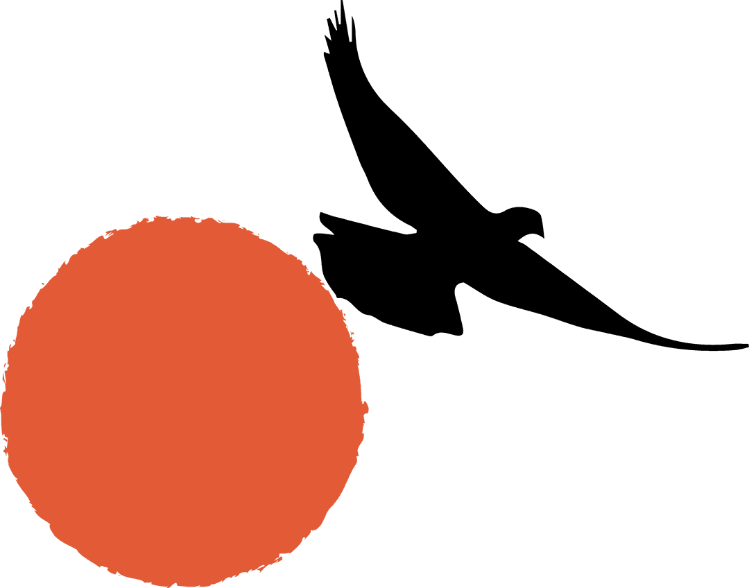 Bird Silhouette Soaring Across Red Sun on Transparent Background