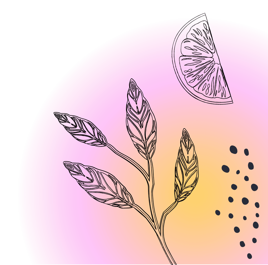 Transparent Abstract Botanical Design on Pastel Gradient