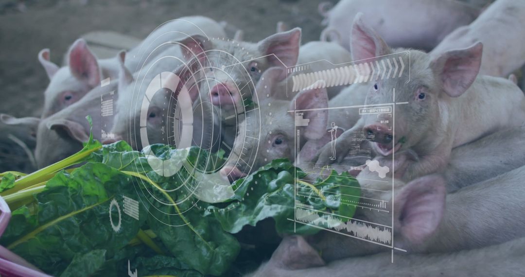 Cutting-Edge Technology in Pig Farming with Digital Monitoring Overlays