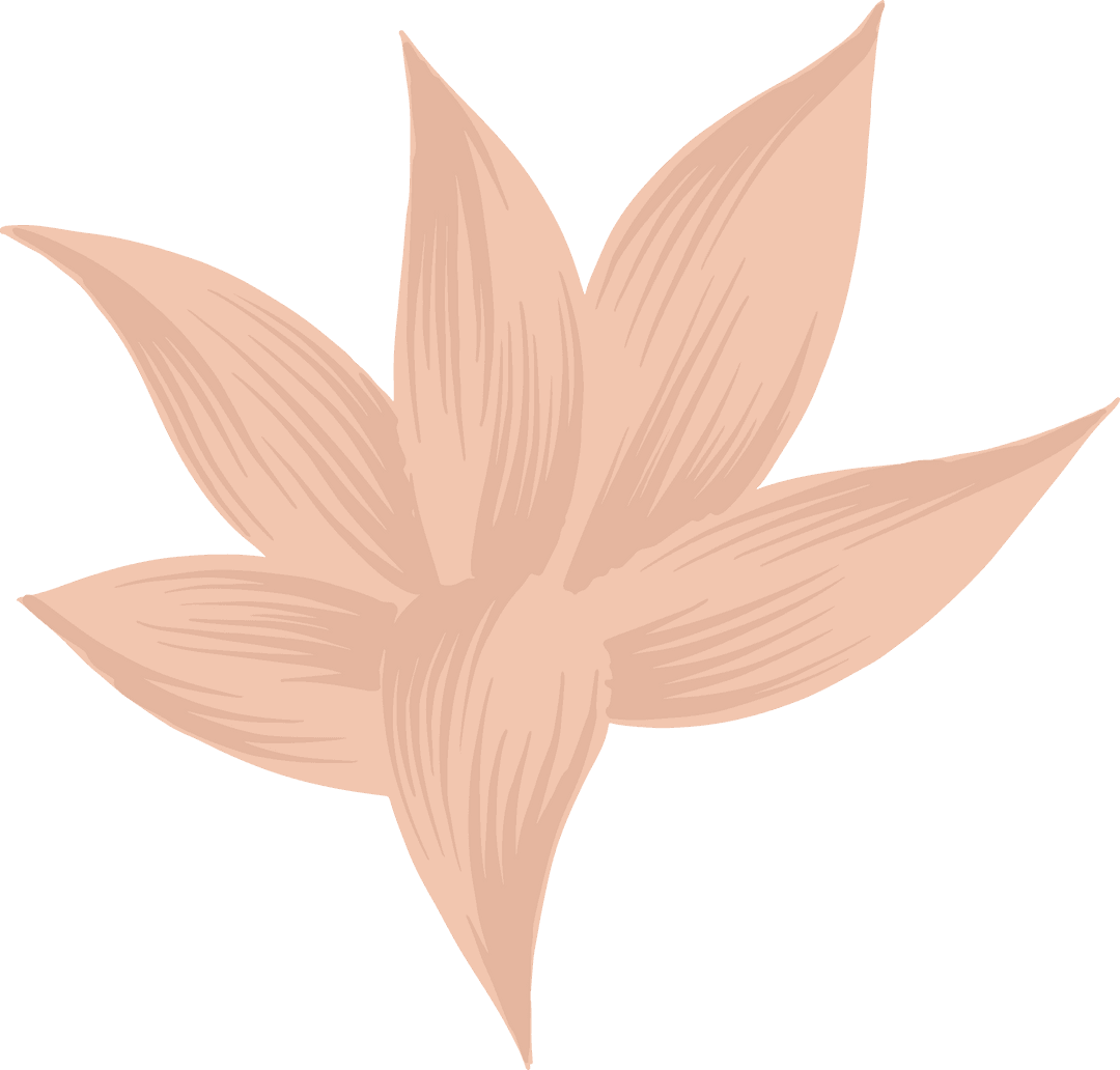 Transparent Abstract Peach Floral Design with Six Petals