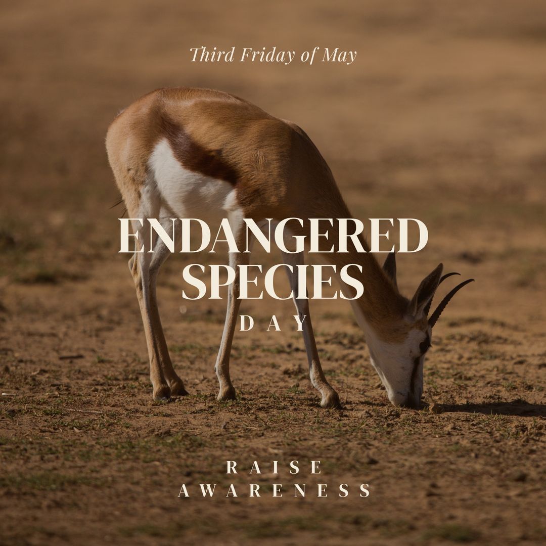 Wild Antelope Grazing in Natural Habitat for Endangered Species Day