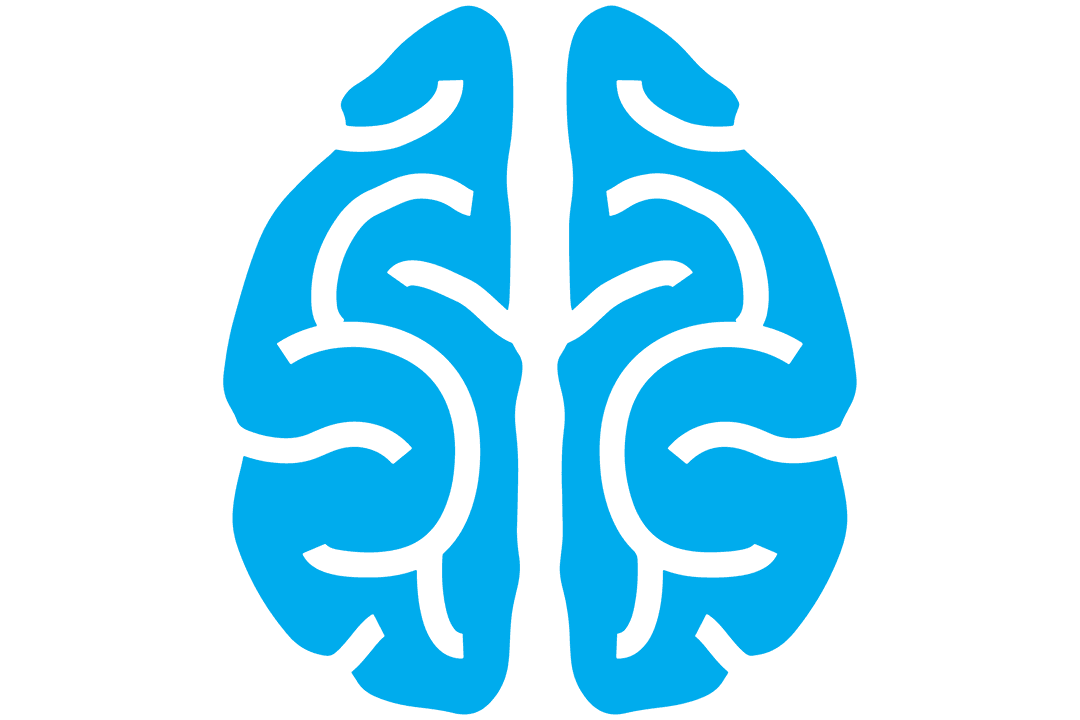 Transparent Blue Brain Illustration on White Background