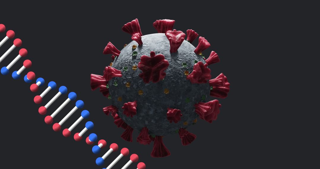 3D Render of Coronavirus with DNA Strand on Black Background