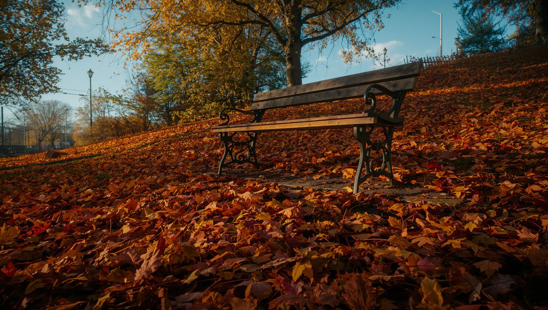 Tranquil Autumn Bench in Leaf-Covered Park