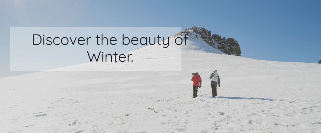 Winter Adventure Featuring Serenity in Snow-Covered Landscape