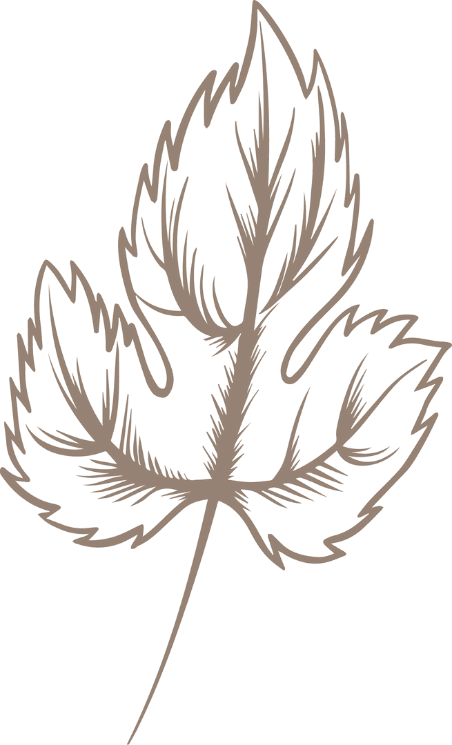 Stylized Brown Leaf Illustration on Transparent Background
