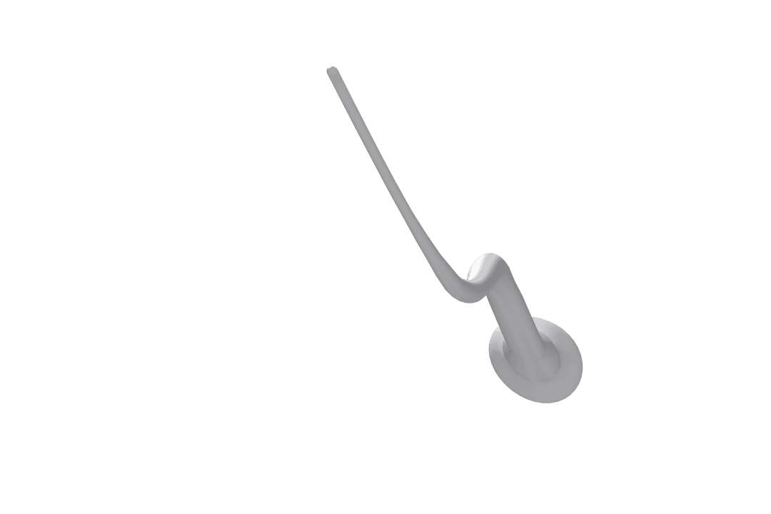 3D Transparent Sperm Cell Visualization on Black Background