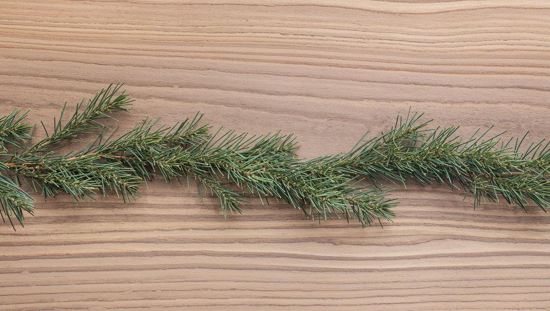 Evergreen Pine Branch Stretching Across Light Wood Tabletop Flatlay with Natural Needles
