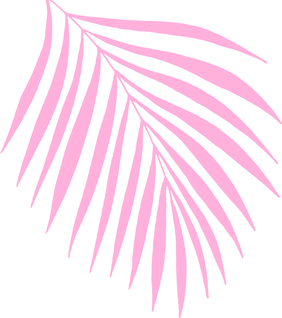 Minimal Flat Palm Frond Art on Transparent Background