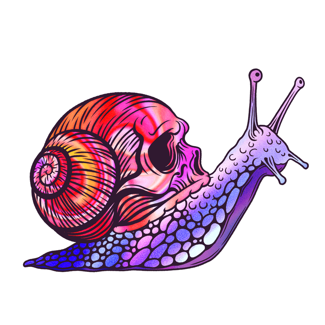 Stylized Snail Skull with Gradient on Transparent Background - Download Free Stock Images Pikwizard.com