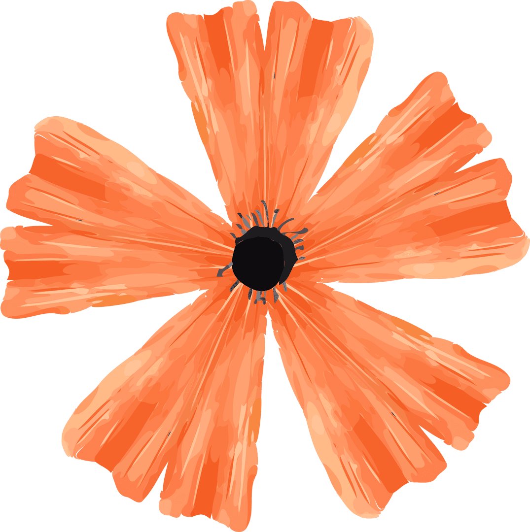 Transparent Vector Orange Poppy-like Bloom with Textured Petals