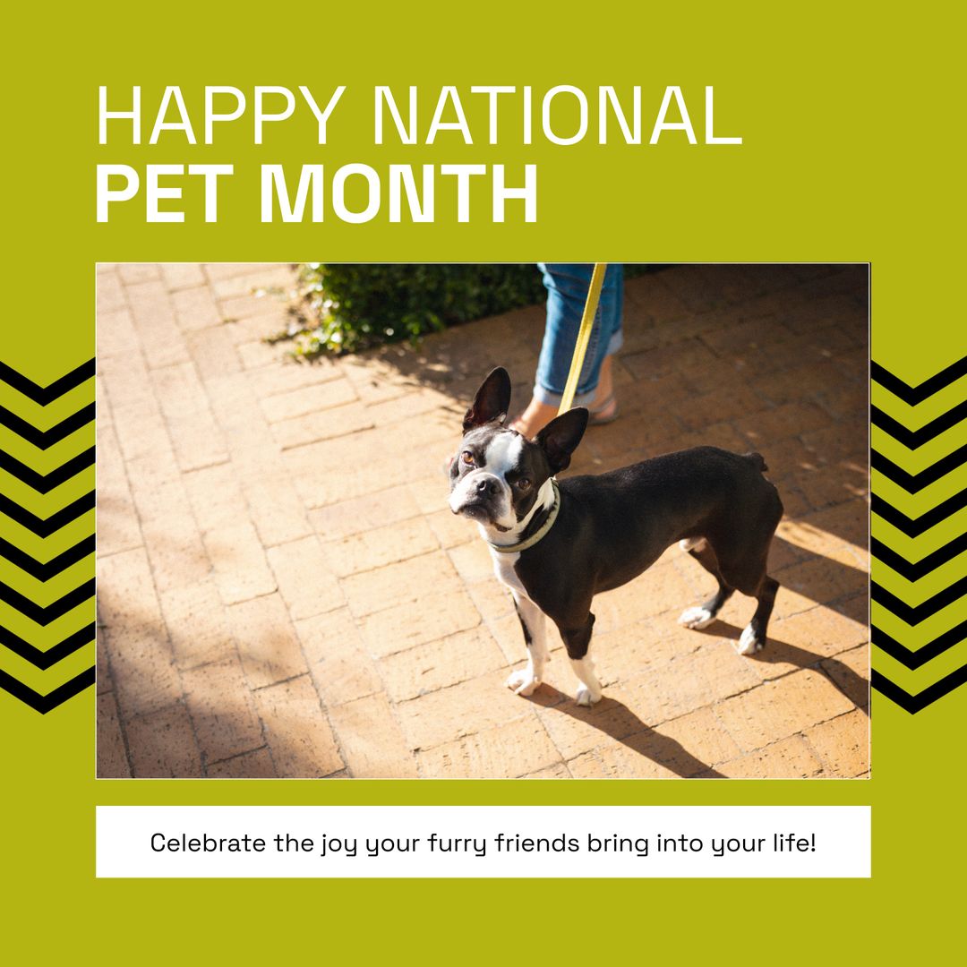 Happy National Pet Month Celebration with Happy Dog - Download Free Stock Templates Pikwizard.com