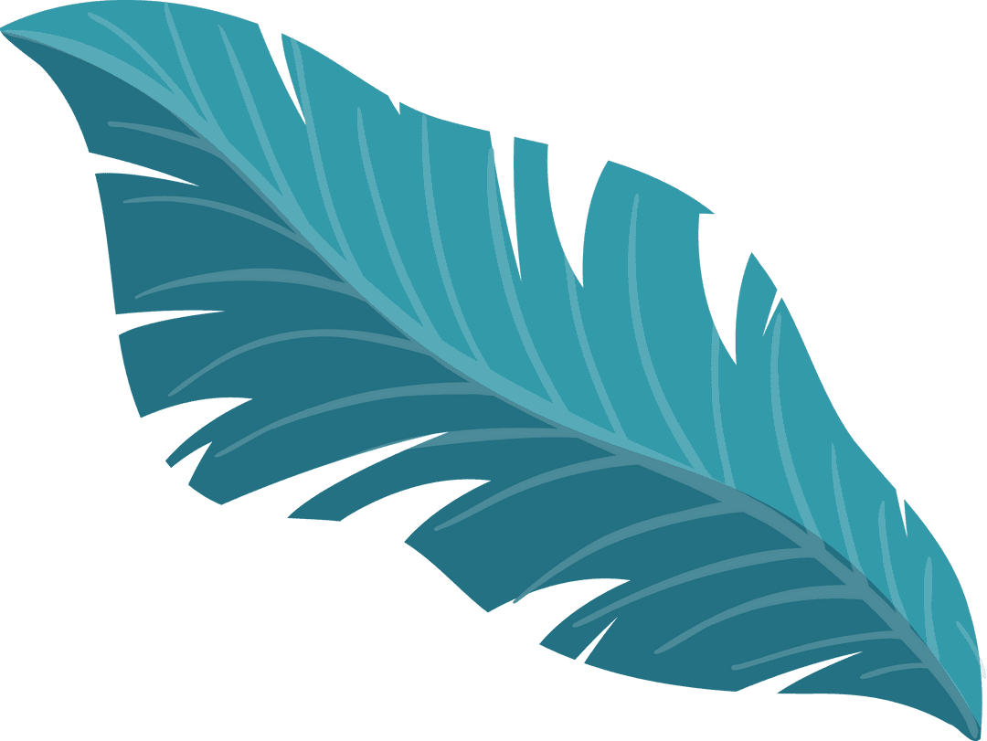 Teal Feather Illustration on Transparent Background