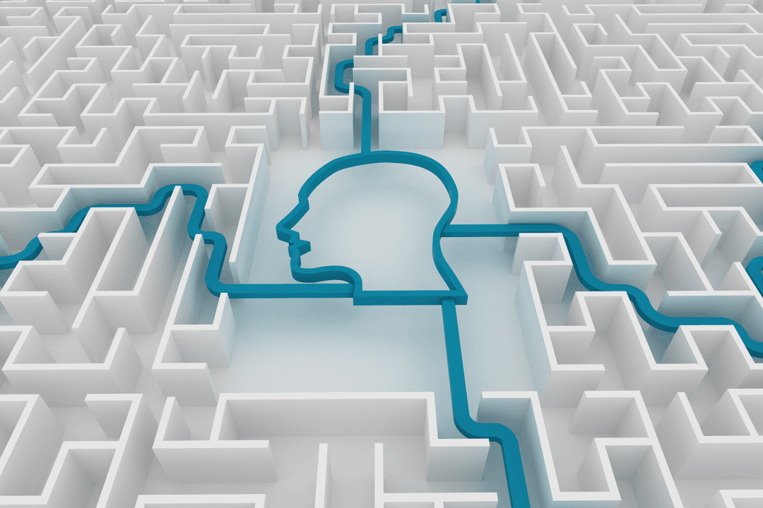 Transparent Maze with Embossed Human Face