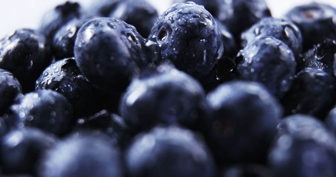 Close-Up of Fresh Blueberries with Water Droplets - Free Images, Stock Photos and Pictures on Pikwizard.com