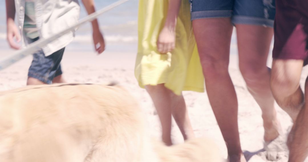 Family Walking Dog on Beach on Sunny Day - Free Images, Stock Photos and Pictures on Pikwizard.com