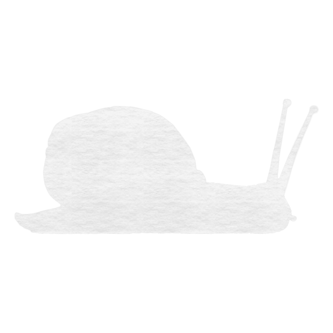 Transparent White Snail Illustration on Vector Format