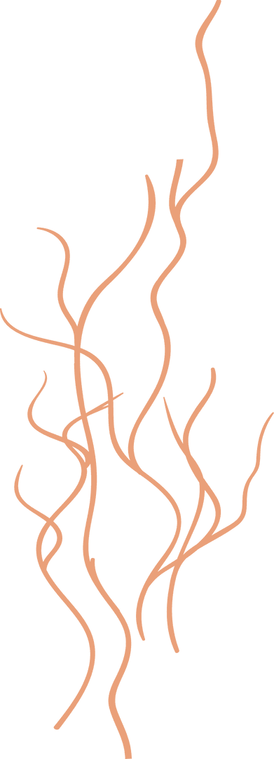 Orange Curling Tendrils on Transparent Background Simple Abstract Design