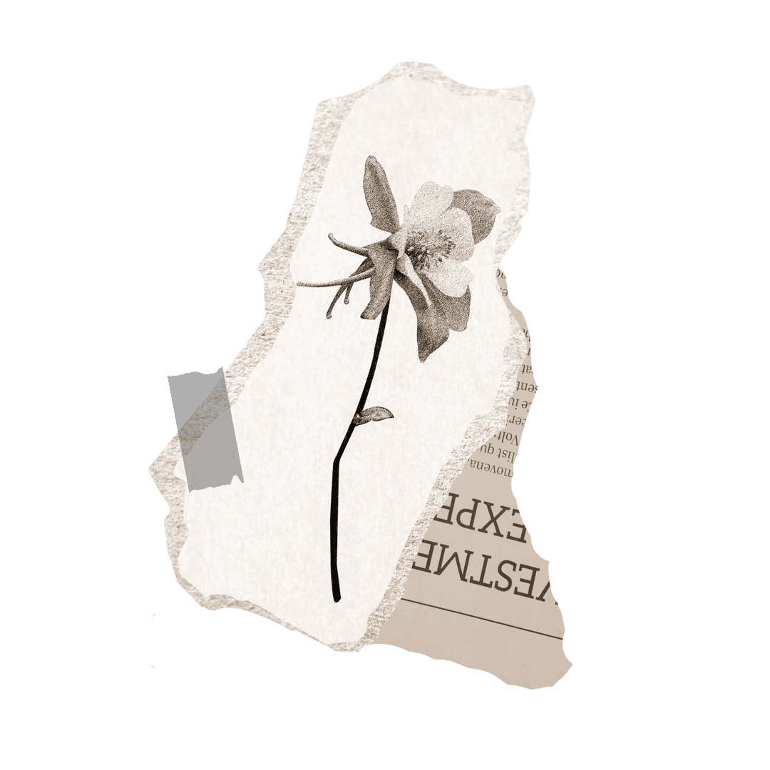 Sepia Floral Collage with Torn Paper in Transparent Style