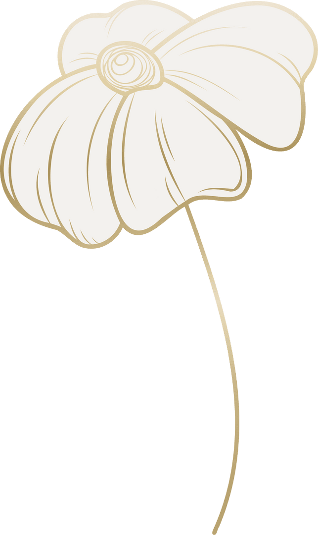 Minimalist Flower with Transparent Background Illustration