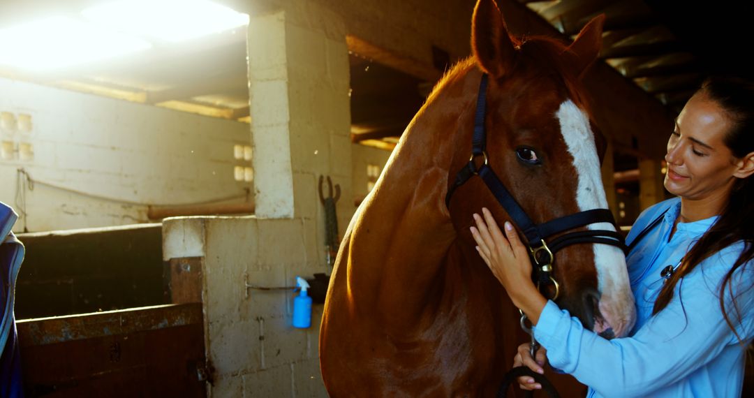 Woman Grooming Horse in Stable at Sunset - Free Images, Stock Photos and Pictures on Pikwizard.com