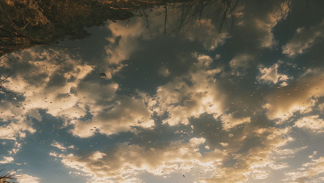 Golden Clouds Shimmering in Puddle Reflection at Sunrise with Reeds and Water Droplets