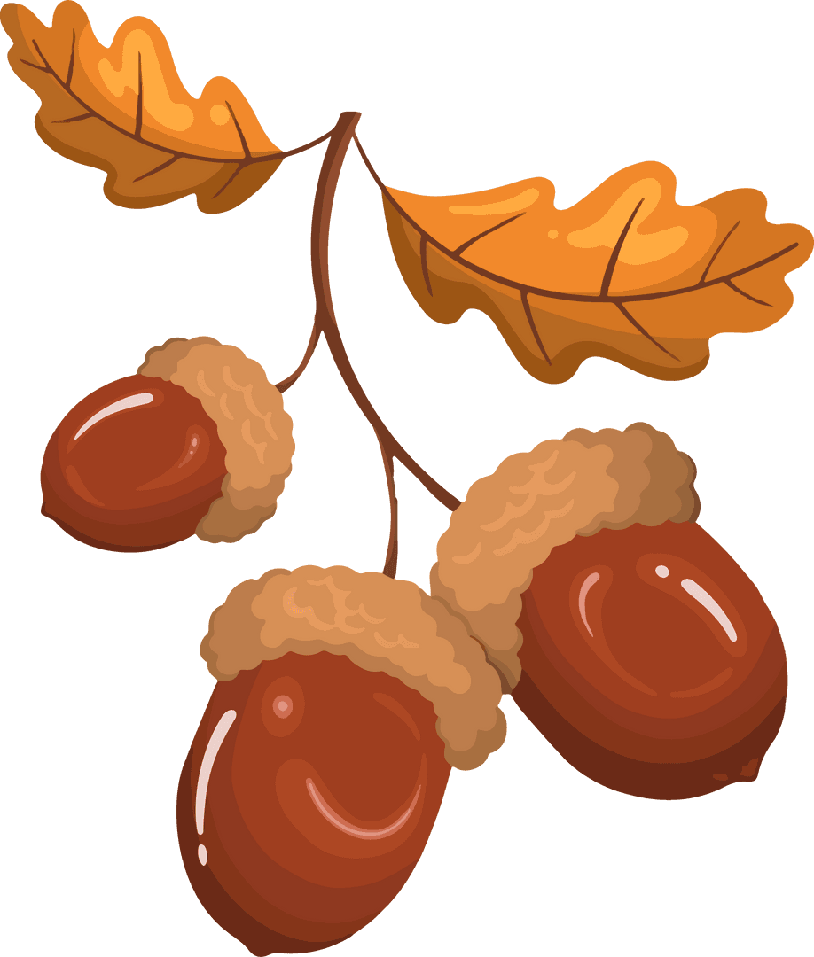 Cartoon Acorns with Autumn Leaves on Transparent Background
