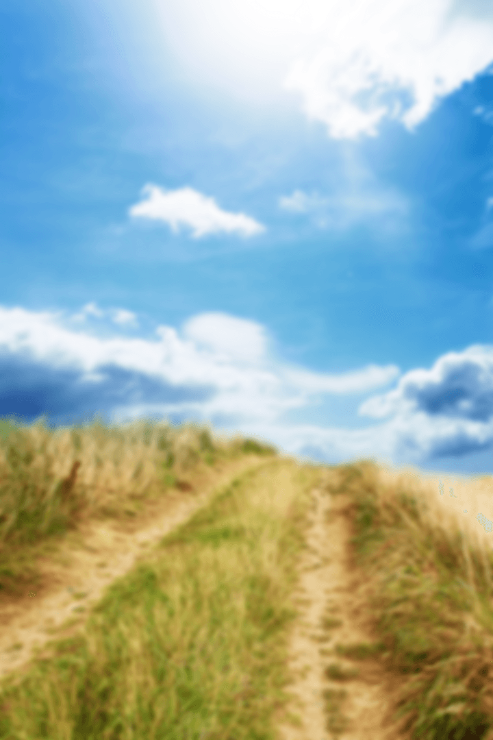 Transparent Blue Skies Over Idyllic Grass Field Pathway