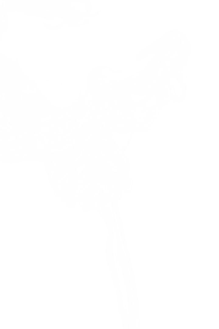 White Smoke Illustration on Transparent Background