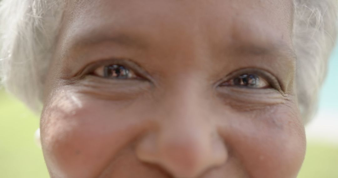 Close-up of Smiling Elderly Woman with Gray Hair in Sunlight - Free Images, Stock Photos and Pictures on Pikwizard.com