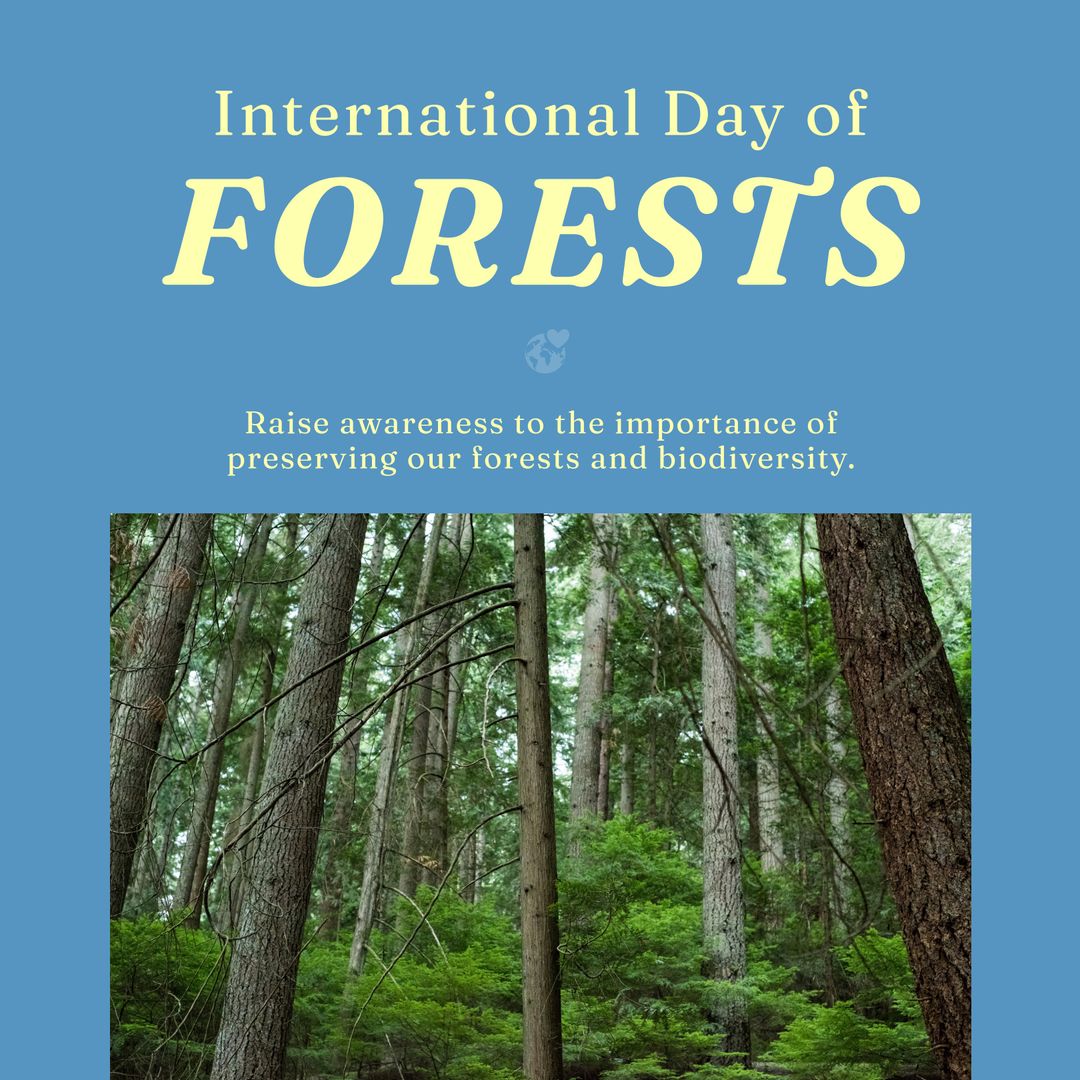 International Day of Forests Celebration Poster with Forest Landscape