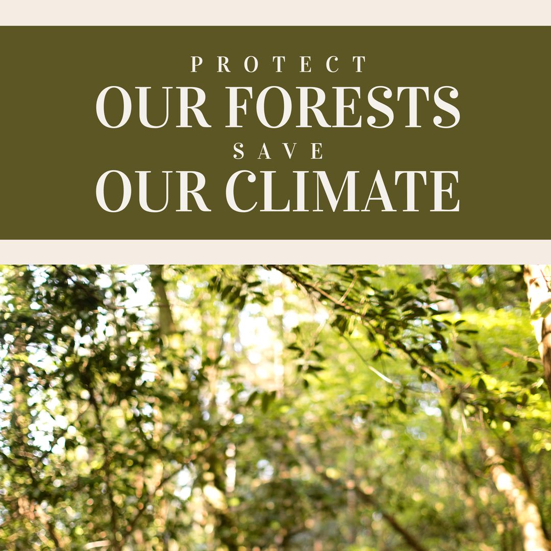 Forest Conservation Message with Sunlit Trees