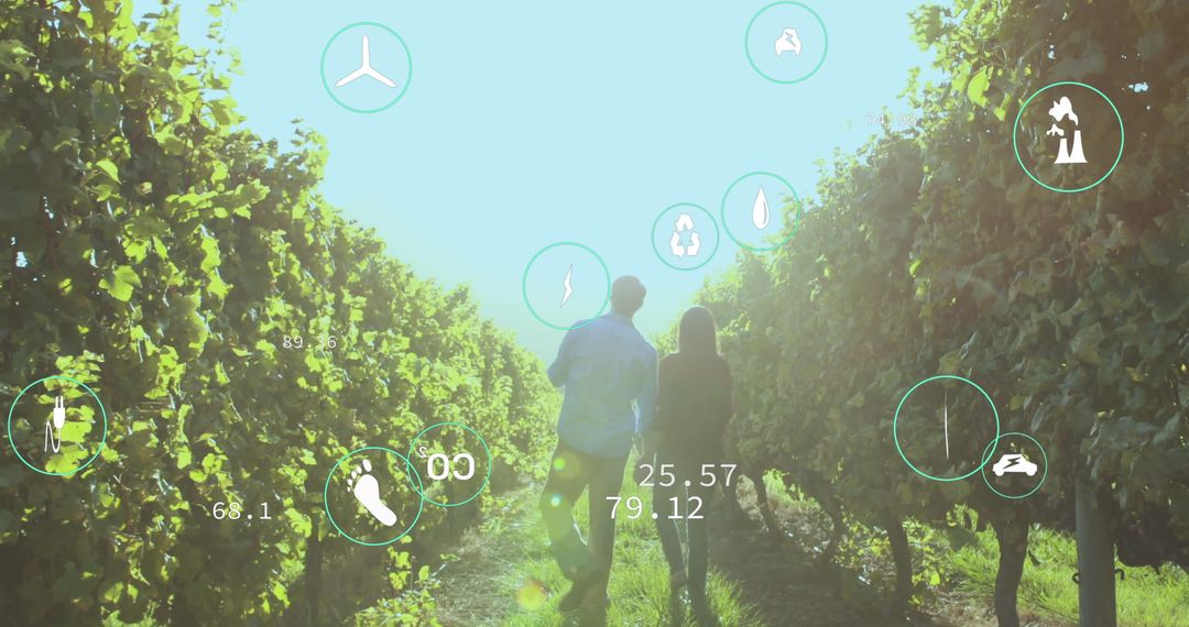 Couple Walking in Vineyard with Digital Data Icons Overlay