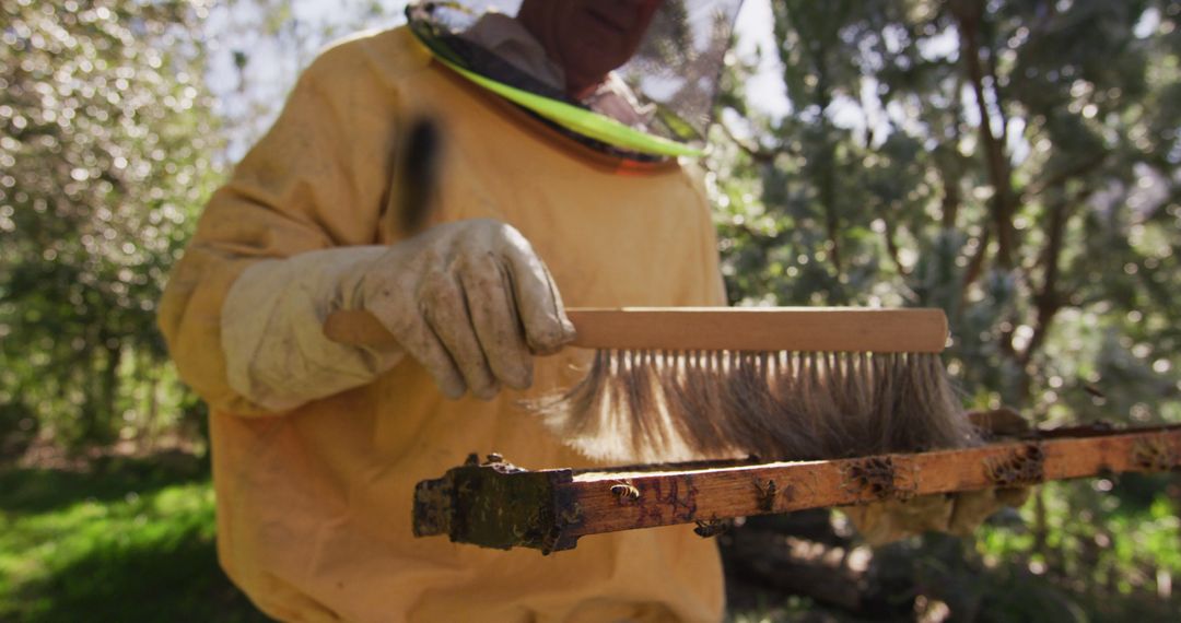 Beekeeper in Protective Gear Brushing Hive Frame Outdoors - Free Images, Stock Photos and Pictures on Pikwizard.com