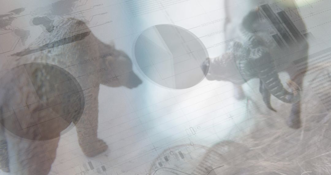 Business Data Analysis with Bear and Bull Figures