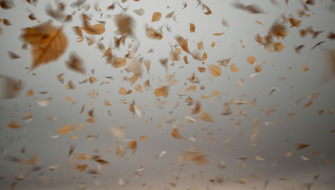 Autumn Leaves Swirling in Gray Sky Breeze